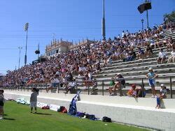 Torero Stadium | American Football Wiki | Fandom