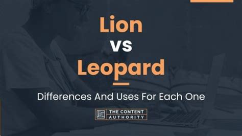 Lion vs Leopard: Differences And Uses For Each One