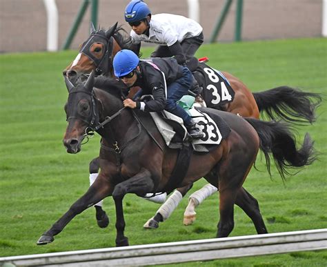 【函館スプリントs】ジュビリーヘッド 雨馬場苦にせず1馬身先着 陣営「状態も安定している」 競馬ニュース Netkeiba