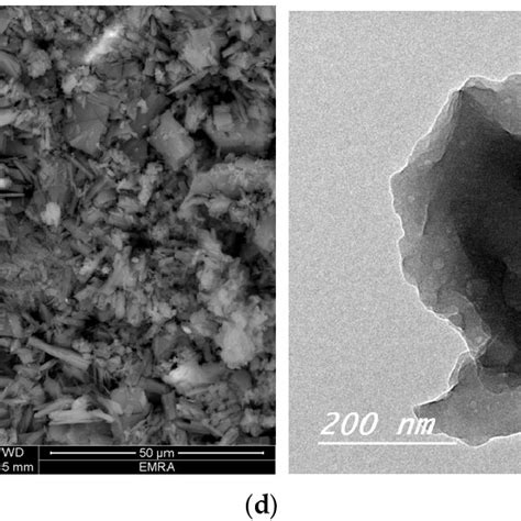 A The SEM And TEM Micrographs Of Fe III Complex B The SEM And TEM