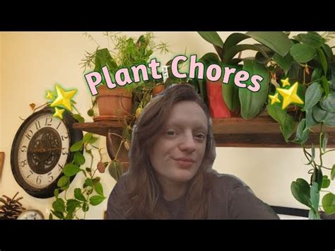 Let S Do Plant Chores Together Repot And Proprogation YouTube