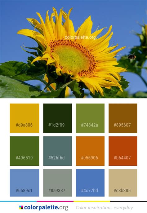 Sunflower Yellow Paint Code - SUNFLOWER