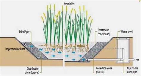 Schematic Cross Section Of A Horizontal Flow Constructed Wetland