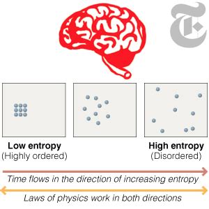 Boltzmann Brain | The Daily Omnivore