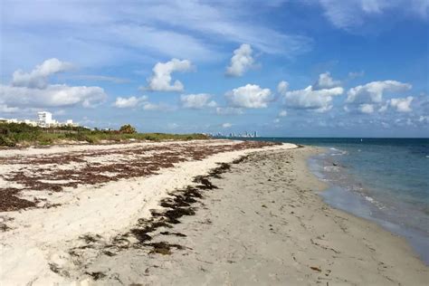 Una Niña Muere En Una Playa Florida Al Quedar Atrapada En Un Hoyo Que