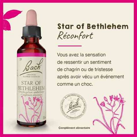 Les Avis Sur La Fleur De Bach Star Of Bethlehem TNT Review