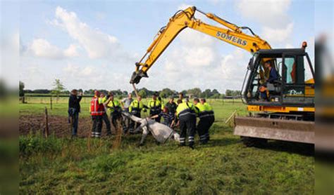 Meisje Monster In Een Gezapig Brabants Dorp Adverteren Veghel