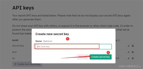 如何查看openai的api Key？openai的apikey怎么看 Csdn博客