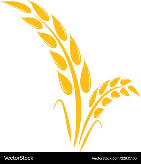 Wheat agriculture graphic design template Vector Image