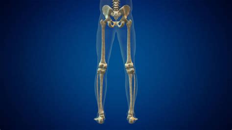 250 Bio Mechanical Skeleton Stock Photos Pictures And Royalty Free