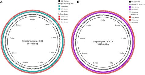 Frontiers Whole Genome Sequencing And Metabolomic Study Of Cave