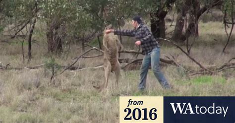 Heartfelt story behind 'kangaroo punching' video revealed