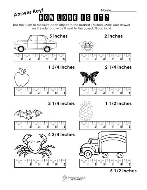 Measuring To The Nearest Inch Worksheet