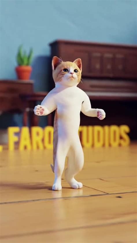 Cute 🐈 Cat Dance One News Page Video