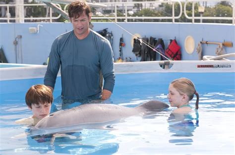 Winter,Dolphin Tale - Winter The Dolphin Photo (37557678) - Fanpop