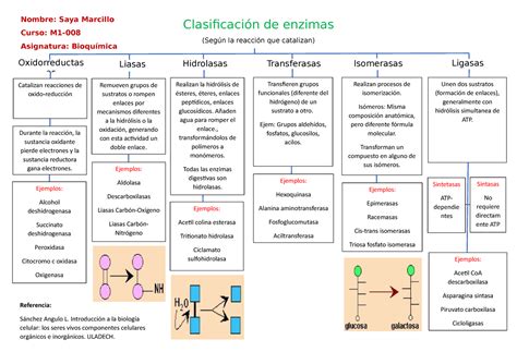 Clasificaci N De Enzimas Nombre Saya Marcillo Curso M Asignatura