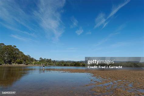 Pambula River Photos and Premium High Res Pictures - Getty Images