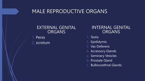 G10 Science Q3 Week 1 Male Reproductive System 1 Pptx