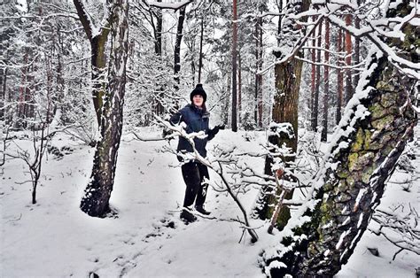 Spacer Po Zimowym Lesie Garnek Pl