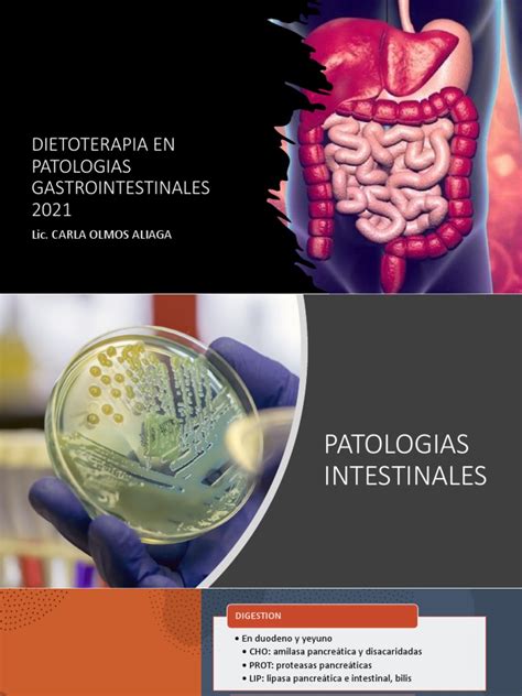 Patologias Intestinales 2021 Pdf Diarrea Estreñimiento