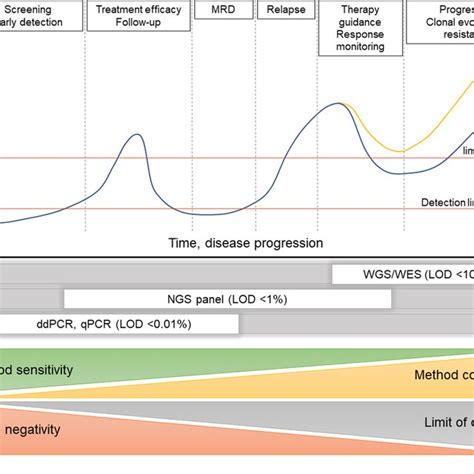 Clinical Utility Of CtDNA In The Context Of Disease Evolution Over