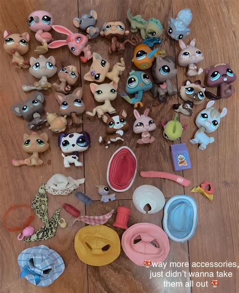 all the new pets+accessories i got today! :) : r/LittlestPetShop