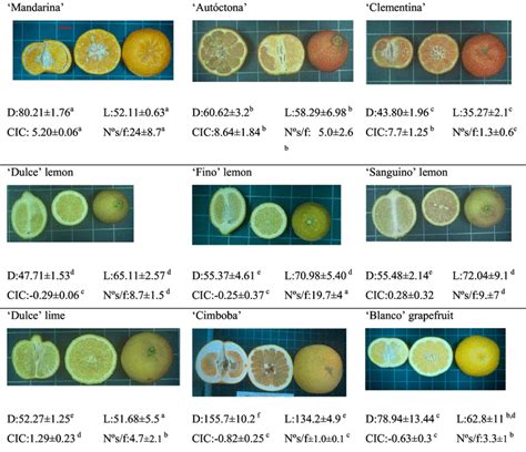 Photographs Of The Different Citrus Varieties Values Of Fruit Diameter