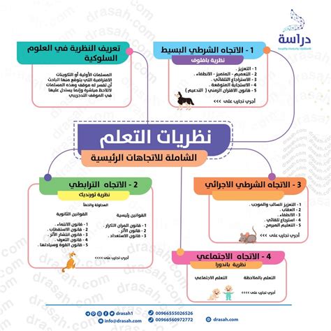 المدرسة المعرفية في علم النفس