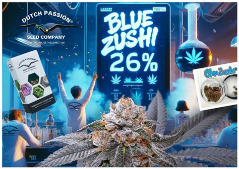 Blue Zushi Probado Con Niveles De Thc Del 26 Dutch Passion