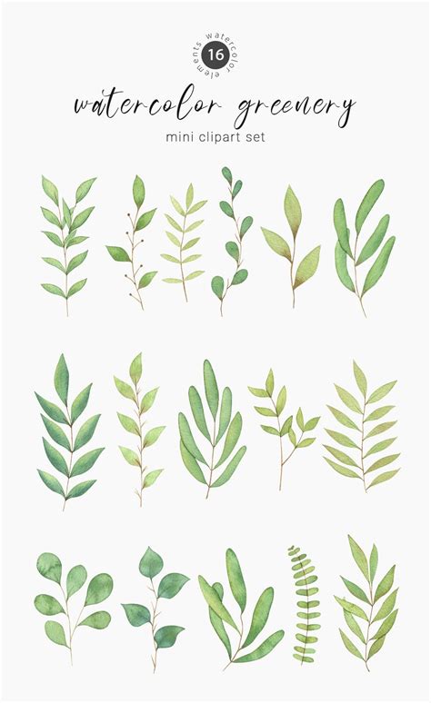 Watercolor Greenery Clipart Leaf Clipart Hand Drawn Botanical Clipart