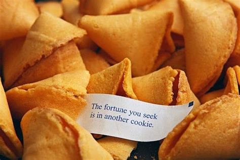 20 Funny Fortune Cookie Sayings To Crack You Up Page 4 Of 5