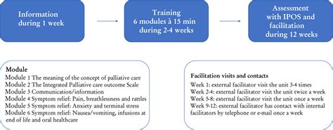 The Integrated Palliative Care Outcome Scale For Patients With Palliative Care Needs Factors