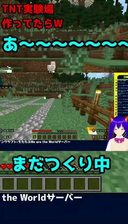 【マインクラフト】 1 爆発そして明日は おバカな人のマインクラフト 釣り大会とネザーとポテト ちたたぶwe Are The Worldサーバーより 07 28【minecraft】