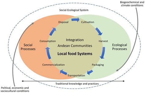 Frontiers Conceptualization Of Alternative Food Networks In Latin