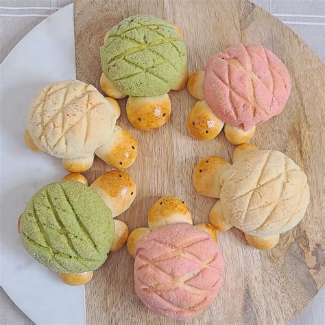 Colorful And Cute Japanese Turtle Melon Pan Recipe Quick Simple And Easy — Modern Asian Baking