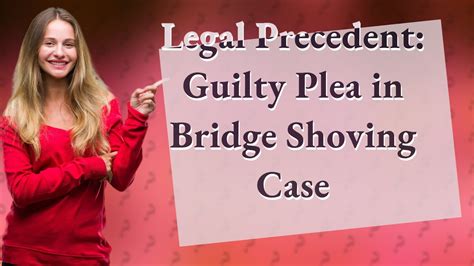 How Does The Guilty Plea In The Washington Bridge Shoving Case Affect