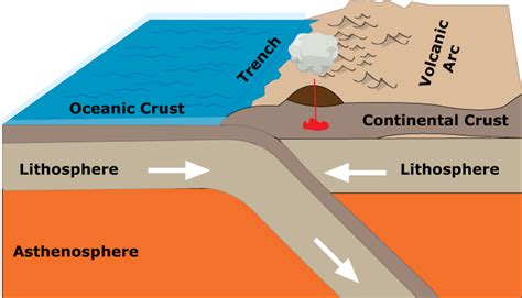 Plate Tectonics and Convection | Quizizz