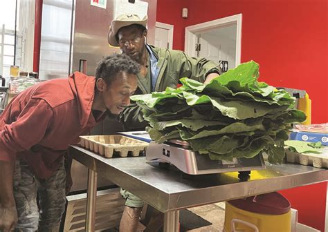 African-American Food Culture: Community Nourishment & Knowledge ...