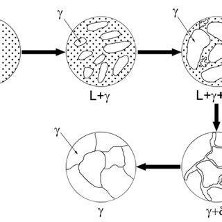 Relationship of solidification type to the pseudobinary phase diagram ...