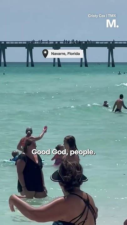 Shark Swims Alarmingly Close To Beachgoers Over Holiday Weekend 🦈