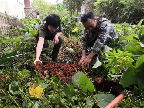 西双版纳国家级自然保护区打造极小种群保护植物的“绿色家园”isenlincn