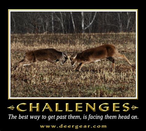 Deer Hunting Quotes Inspirational Quotesgram