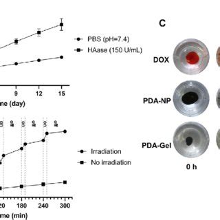 In Vitro Dox Release From Pda Gel And Diffusion Behavior Of Different