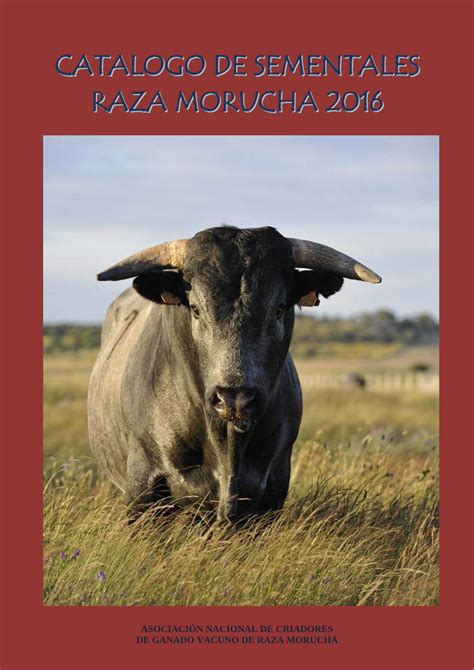 PDF CATALOGO DE SEMENTALES RAZA MORUCHA 2016 Se Presenta A