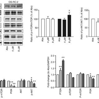 Naringenin Inhibits Renal Cell Carcinoma Progression Via Activation Of