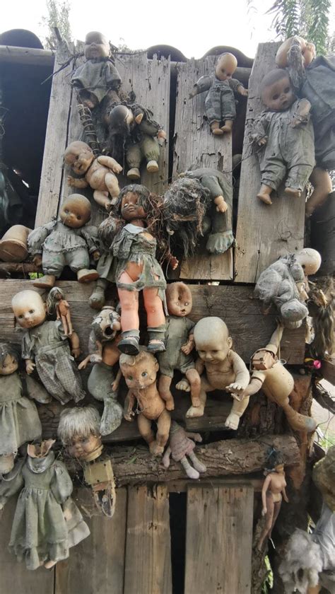 Creepy Dolls | Creepy dolls, Taxidermy art, Creepy