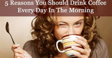 5 Reasons You Should Drink Coffee Every Day Useful Tips For All