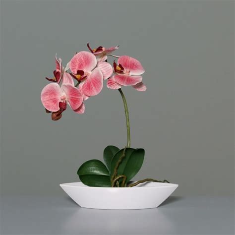 DPI Orchidée artificielle rose vif en coupe plastique H 27 cm Gamm vert