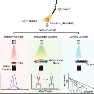 Spectral Properties Used In Fluorescence Sensing From Top To Bottom