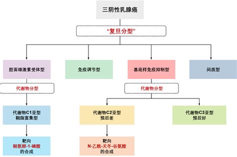 从肿瘤代谢视角为三阴性乳腺癌求解—新闻—科学网